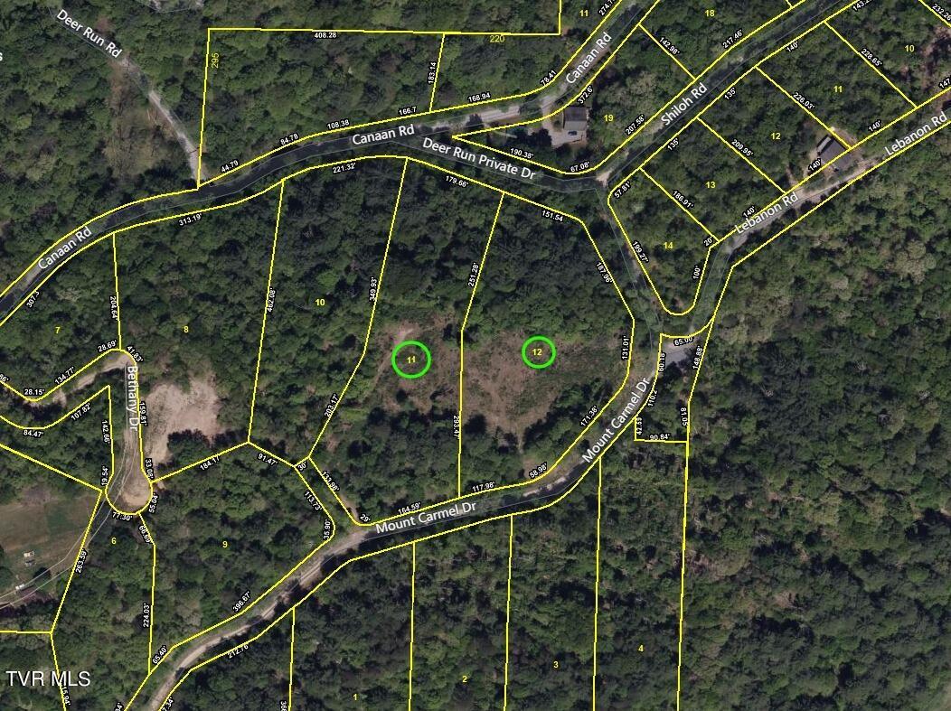 1007 Mount Carmel Drive, Butler, Tennessee image 25