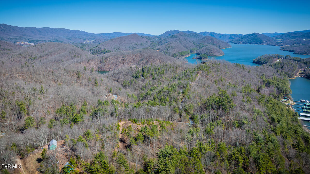 1007 Mount Carmel Drive, Butler, Tennessee image 3