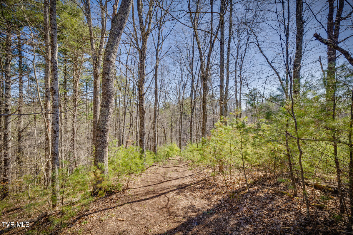 1007 Mount Carmel Drive, Butler, Tennessee image 11