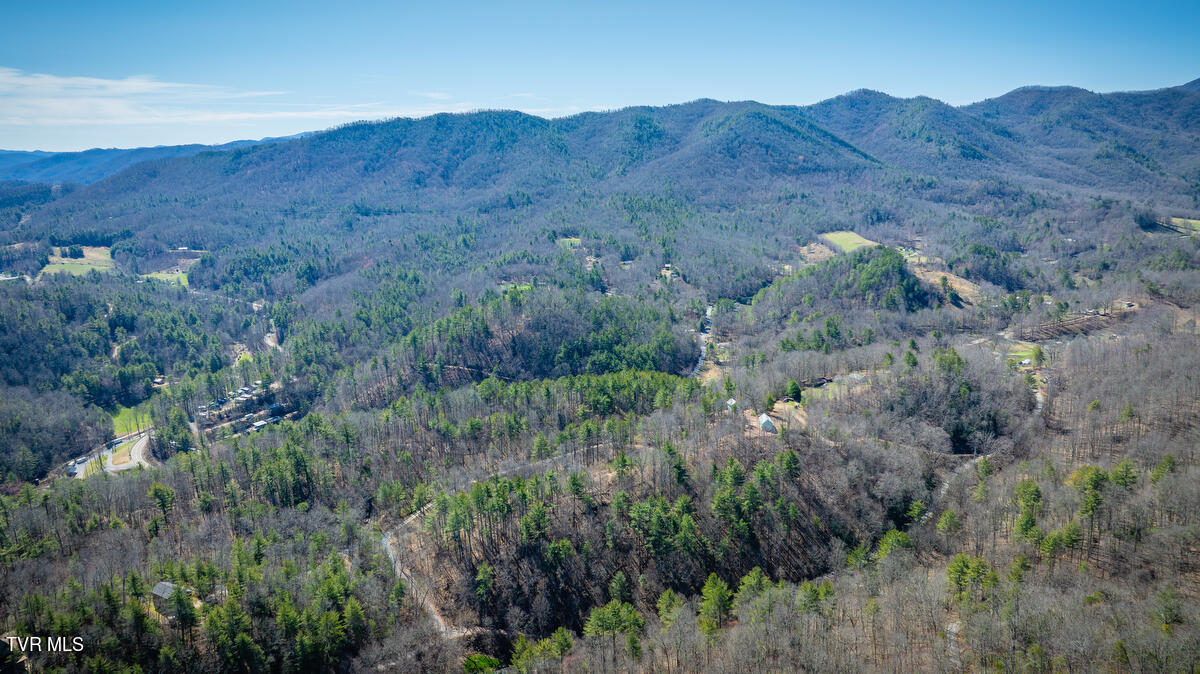1007 Mount Carmel Drive, Butler, Tennessee image 19