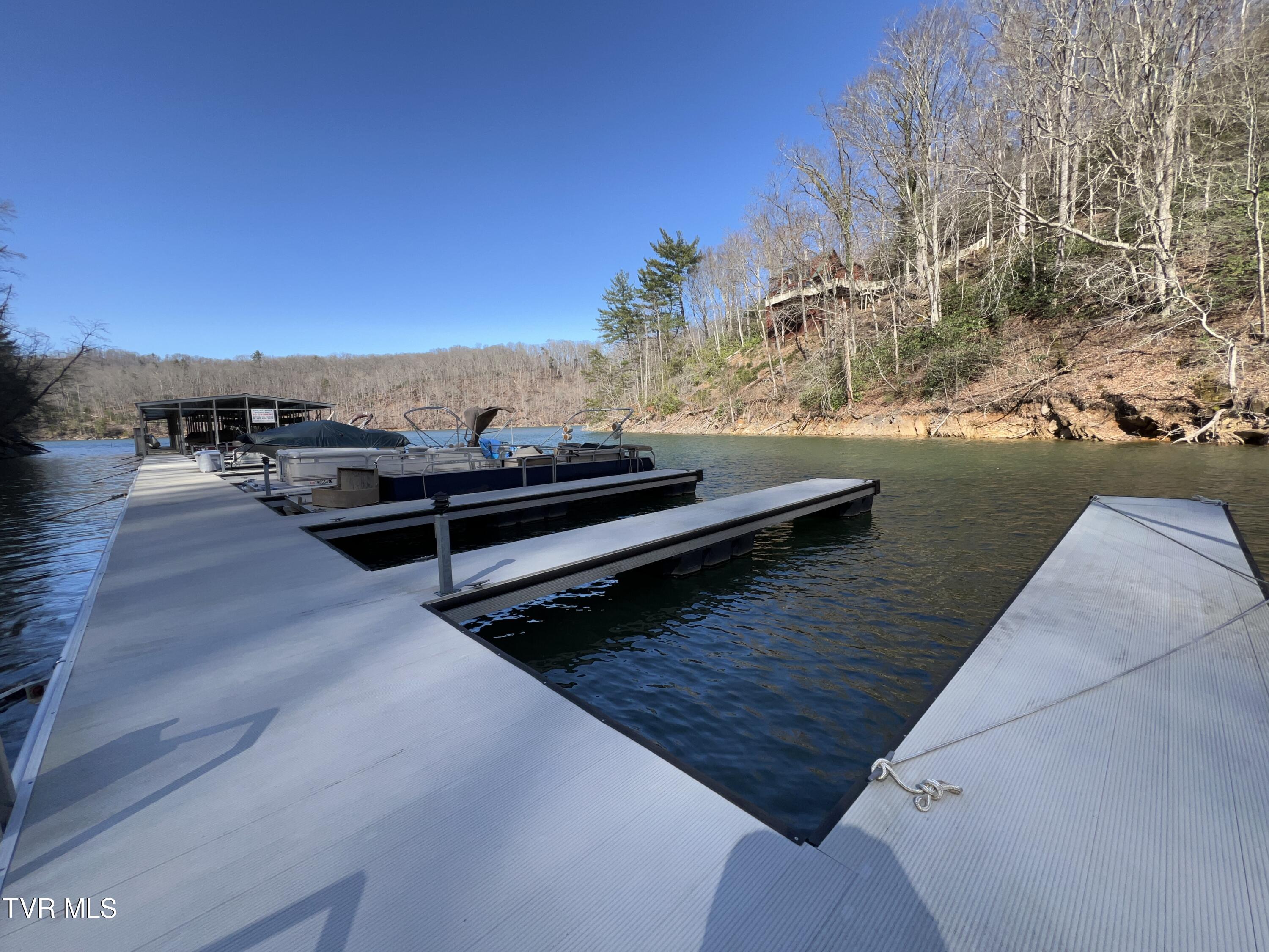 1007 Mount Carmel Drive, Butler, Tennessee image 1