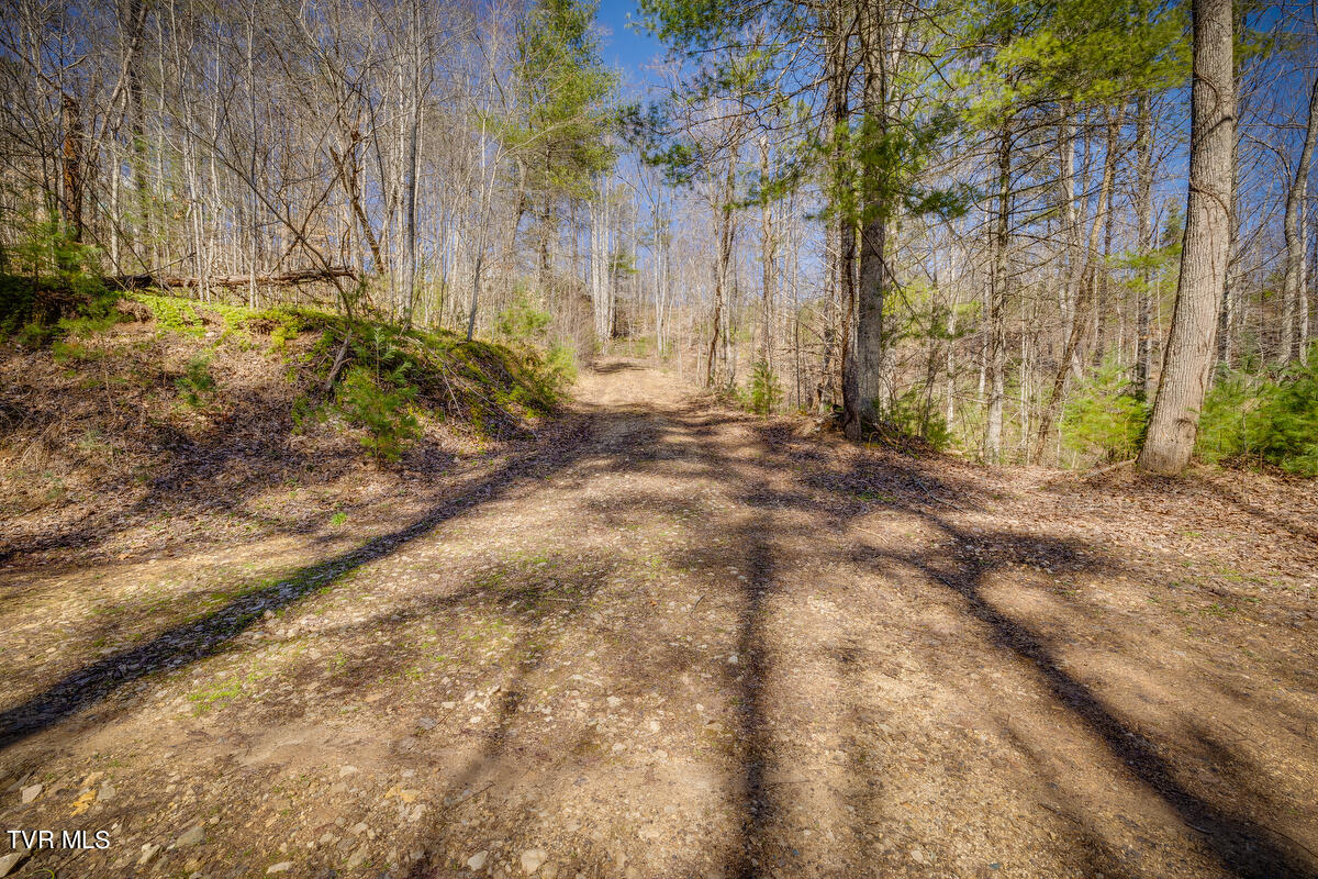 1007 Mount Carmel Drive, Butler, Tennessee image 13