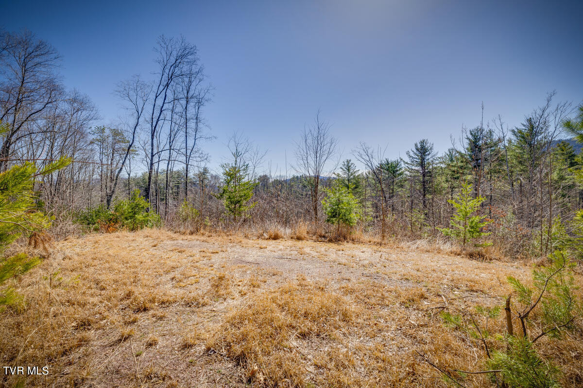 1007 Mount Carmel Drive, Butler, Tennessee image 2