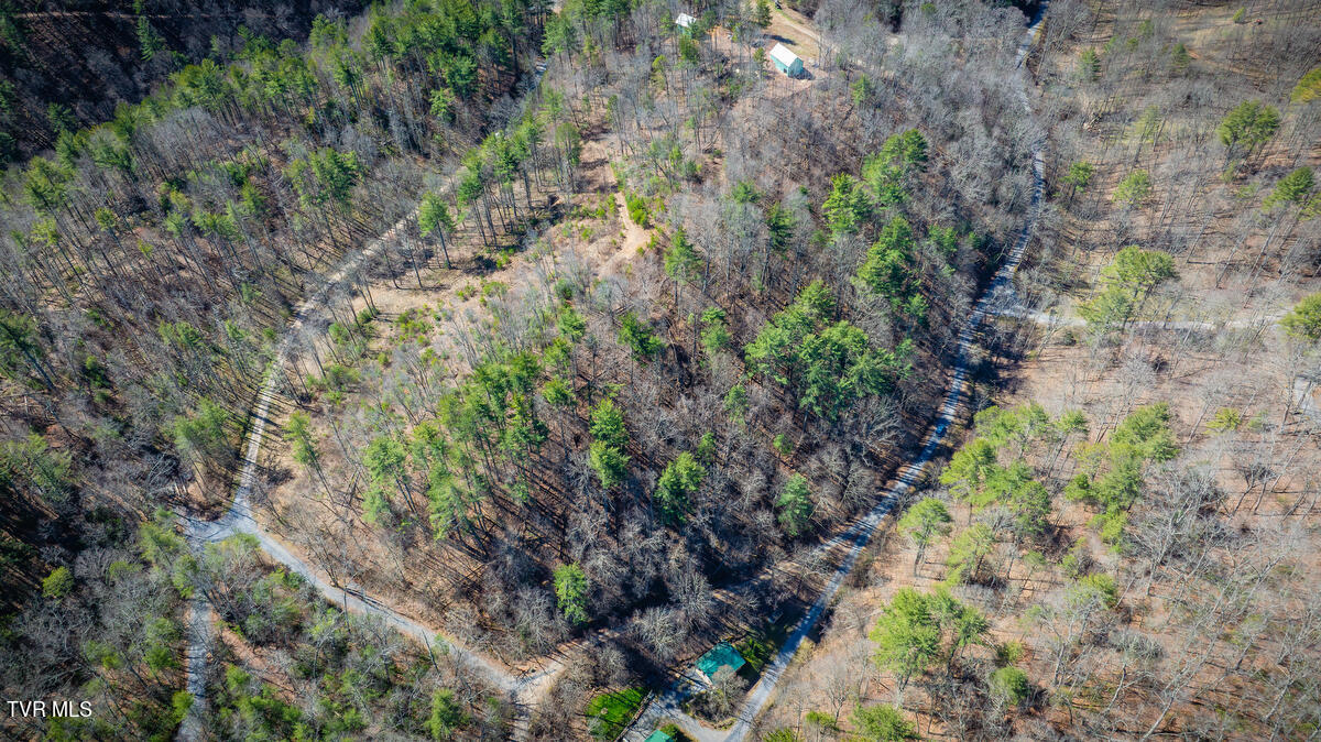 1007 Mount Carmel Drive, Butler, Tennessee image 15