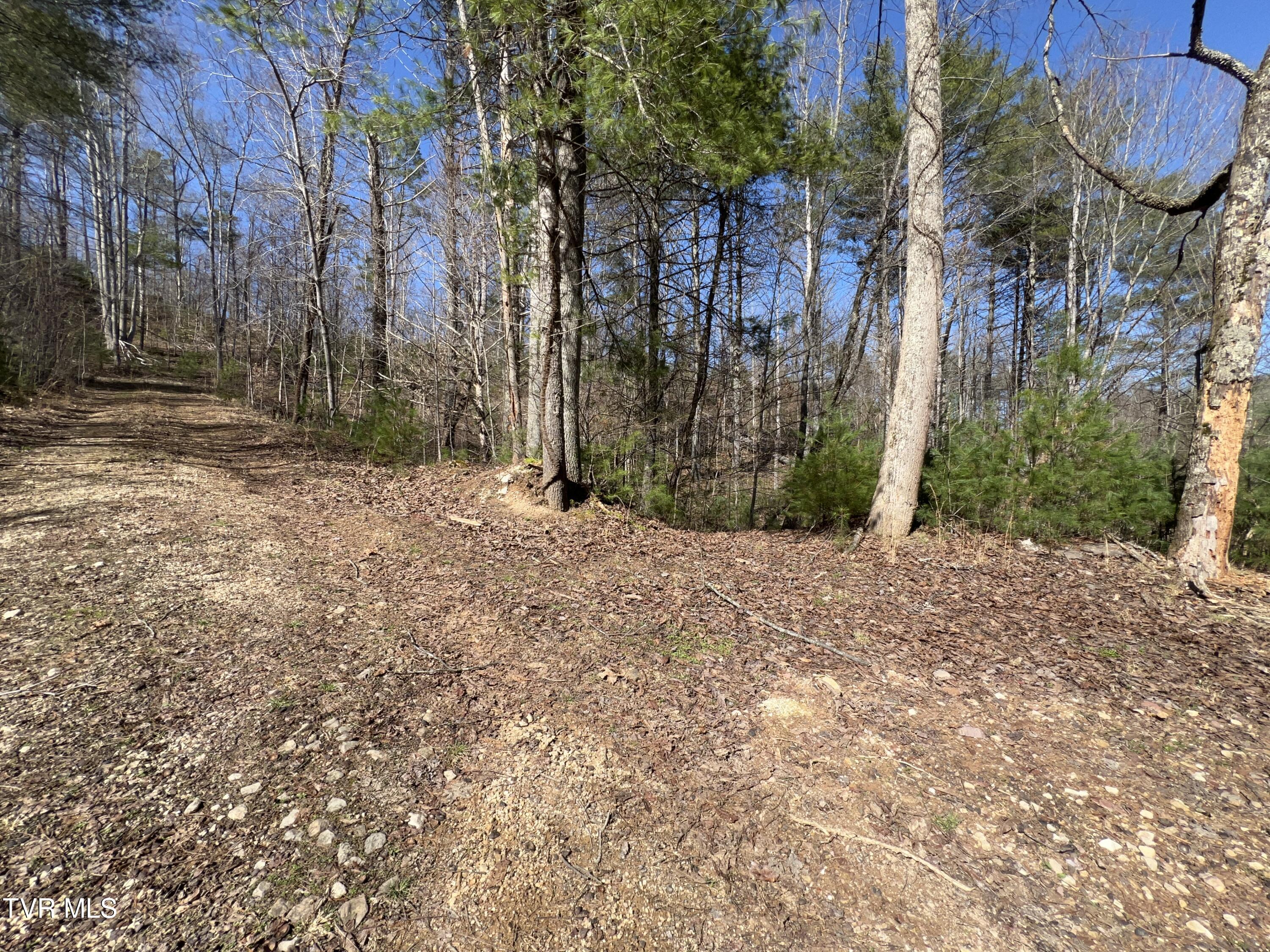 1007 Mount Carmel Drive, Butler, Tennessee image 30