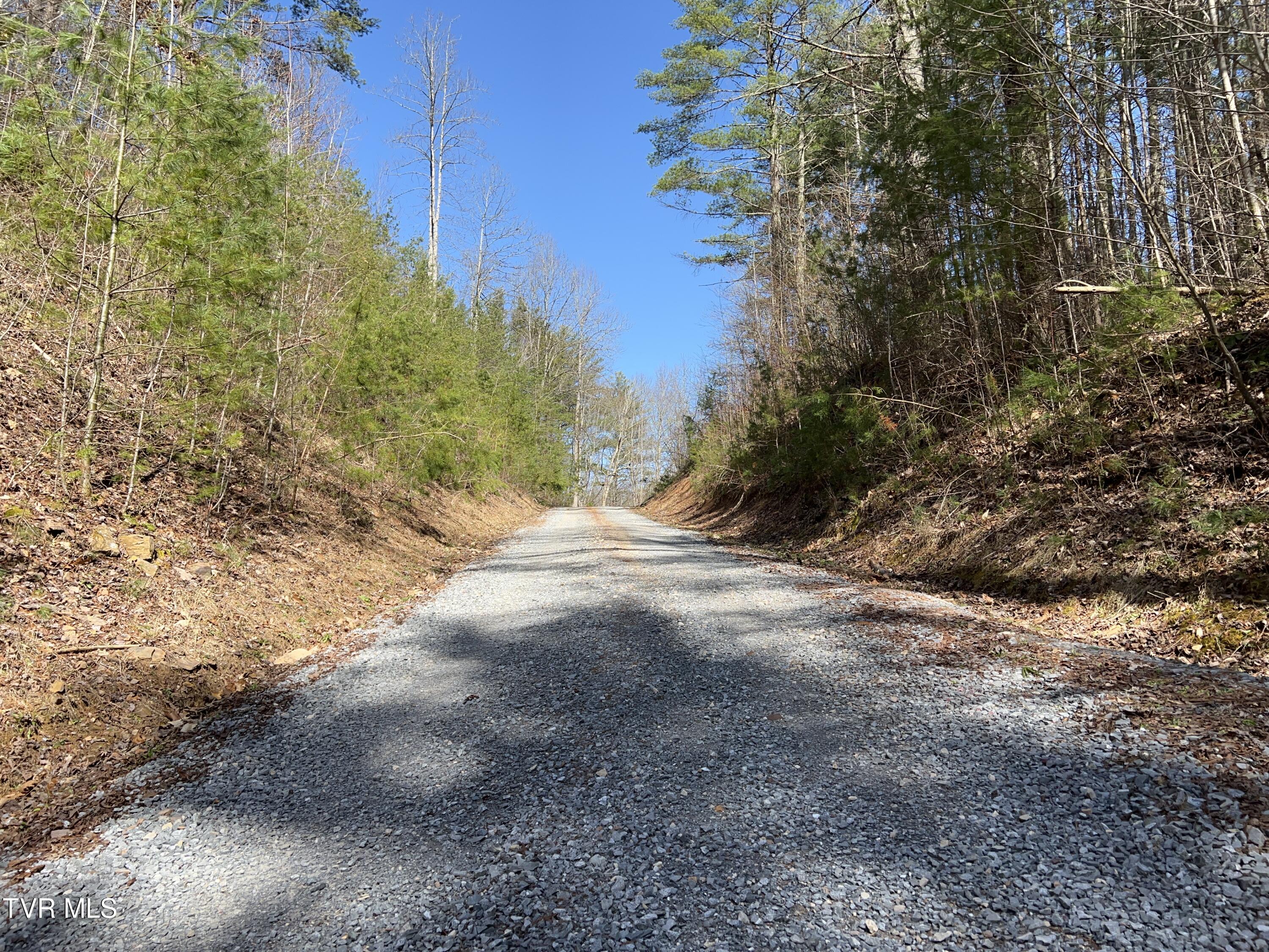 1007 Mount Carmel Drive, Butler, Tennessee image 28