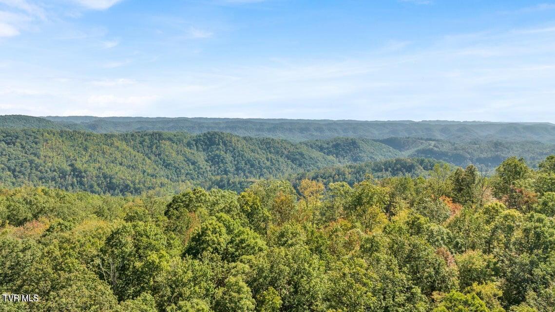 1297 Dry Creek Road, Blackwater, Virginia image 45