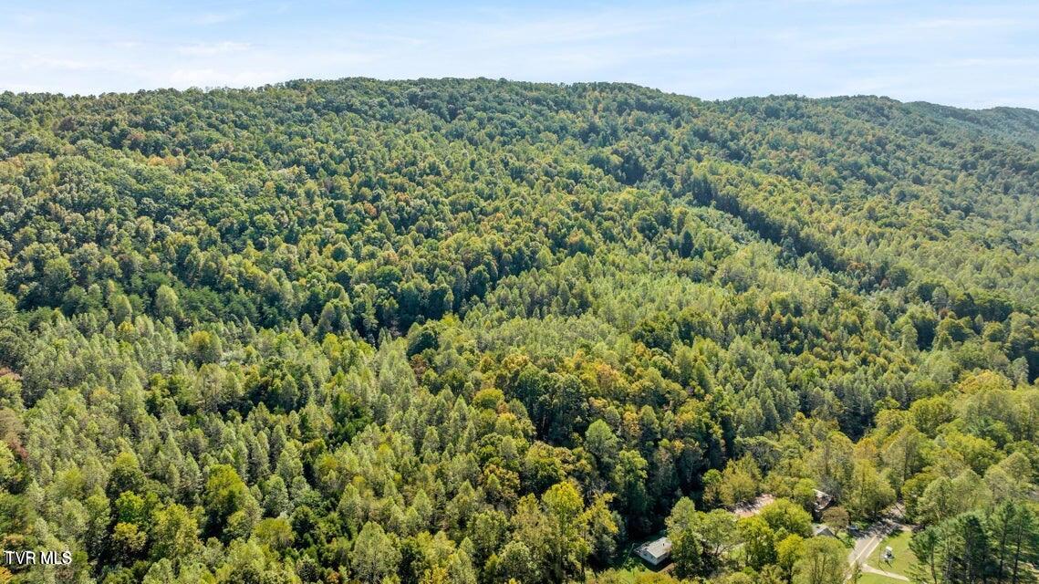 1297 Dry Creek Road, Blackwater, Virginia image 44