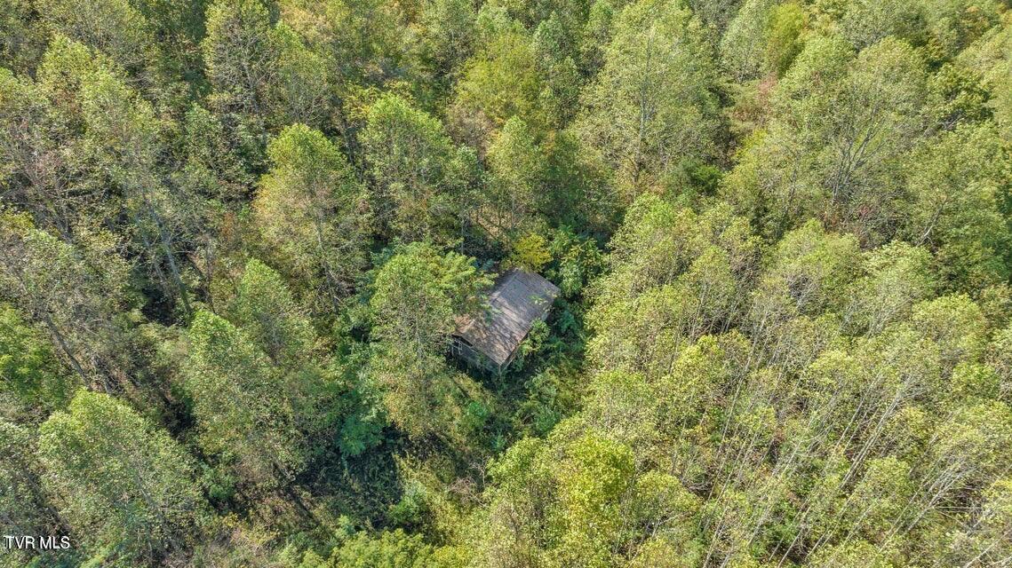 1297 Dry Creek Road, Blackwater, Virginia image 41