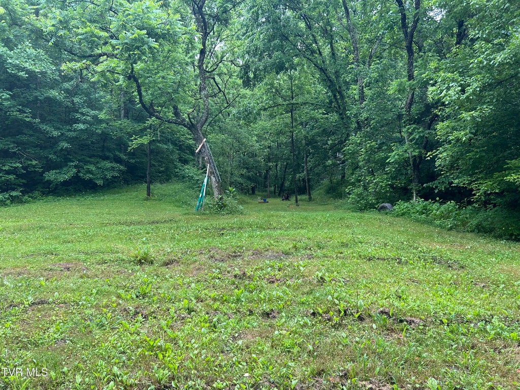 Photo of 524 Barger Hollow Road, Parrottsville, TN 37843 (MLS # 10001147)