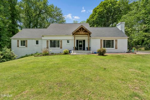 Photo of 321 Baron Drive, Johnson City, TN 37601 (MLS # 9994906)