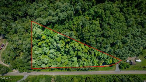 Tiny photo for 624 Whaley Town Road, Butler, TN 37640 (MLS # 9984647)