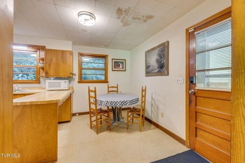 Tiny photo for 624 Whaley Town Road, Butler, TN 37640 (MLS # 9984647)
