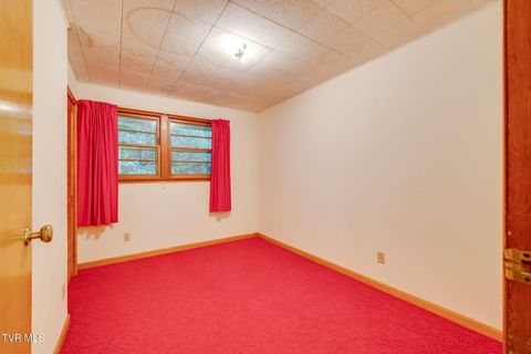 Tiny photo for 624 Whaley Town Road, Butler, TN 37640 (MLS # 9984647)