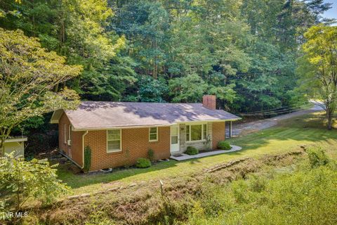 Tiny photo for 624 Whaley Town Road, Butler, TN 37640 (MLS # 9984647)