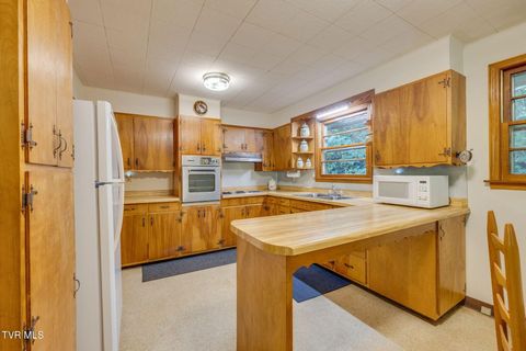 Tiny photo for 624 Whaley Town Road, Butler, TN 37640 (MLS # 9984647)