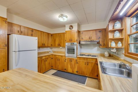 Tiny photo for 624 Whaley Town Road, Butler, TN 37640 (MLS # 9984647)