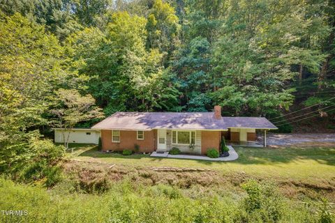 Tiny photo for 624 Whaley Town Road, Butler, TN 37640 (MLS # 9984647)