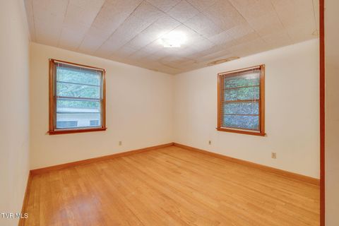 Tiny photo for 624 Whaley Town Road, Butler, TN 37640 (MLS # 9984647)
