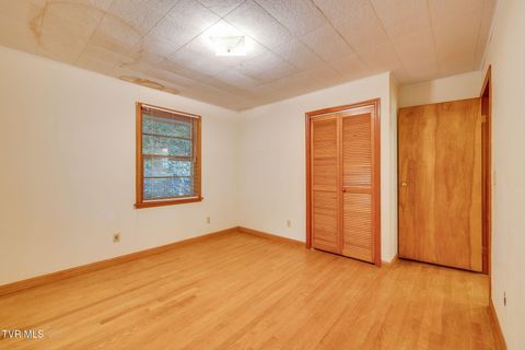 Tiny photo for 624 Whaley Town Road, Butler, TN 37640 (MLS # 9984647)