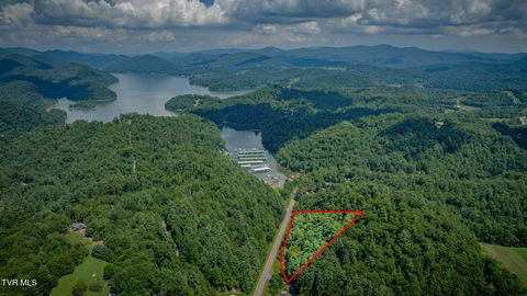 Tiny photo for 624 Whaley Town Road, Butler, TN 37640 (MLS # 9984647)