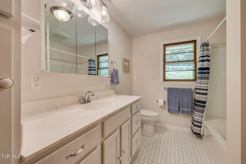 Tiny photo for 624 Whaley Town Road, Butler, TN 37640 (MLS # 9984647)