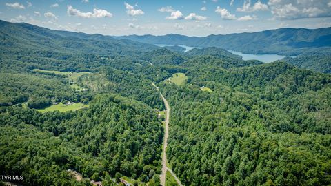 Tiny photo for 624 Whaley Town Road, Butler, TN 37640 (MLS # 9984647)