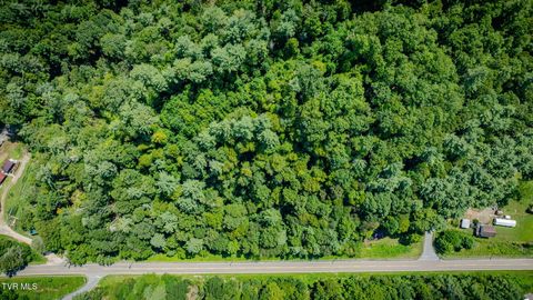 Tiny photo for 624 Whaley Town Road, Butler, TN 37640 (MLS # 9984647)