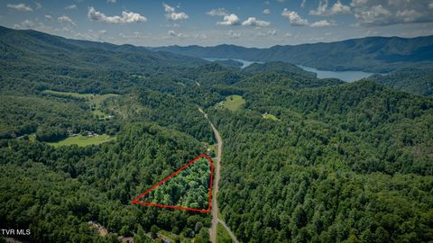Tiny photo for 624 Whaley Town Road, Butler, TN 37640 (MLS # 9984647)