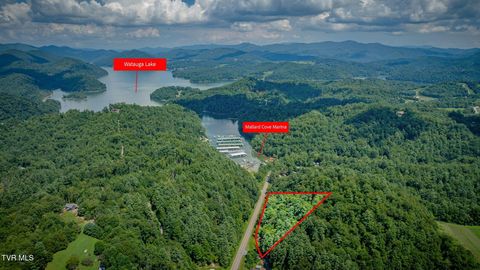 Tiny photo for 624 Whaley Town Road, Butler, TN 37640 (MLS # 9984647)