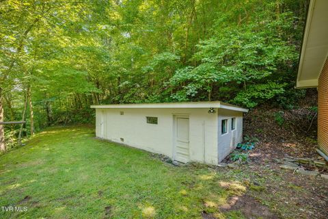 Tiny photo for 624 Whaley Town Road, Butler, TN 37640 (MLS # 9984647)