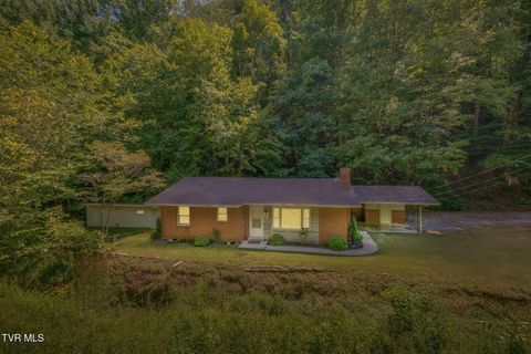 Tiny photo for 624 Whaley Town Road, Butler, TN 37640 (MLS # 9984647)