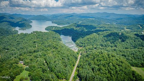 Tiny photo for 624 Whaley Town Road, Butler, TN 37640 (MLS # 9984647)