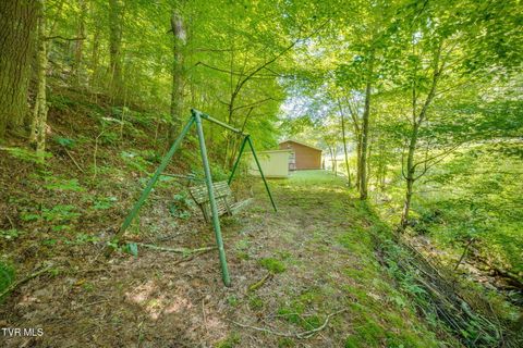 Tiny photo for 624 Whaley Town Road, Butler, TN 37640 (MLS # 9984647)