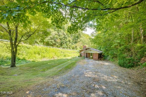 Tiny photo for 624 Whaley Town Road, Butler, TN 37640 (MLS # 9984647)