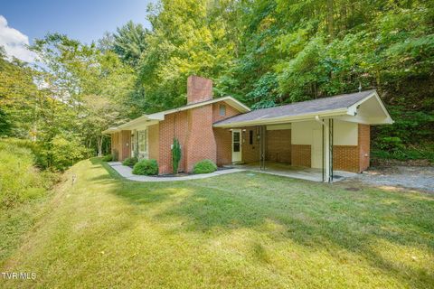 Tiny photo for 624 Whaley Town Road, Butler, TN 37640 (MLS # 9984647)