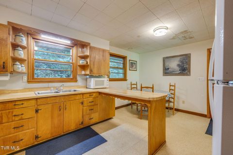 Tiny photo for 624 Whaley Town Road, Butler, TN 37640 (MLS # 9984647)