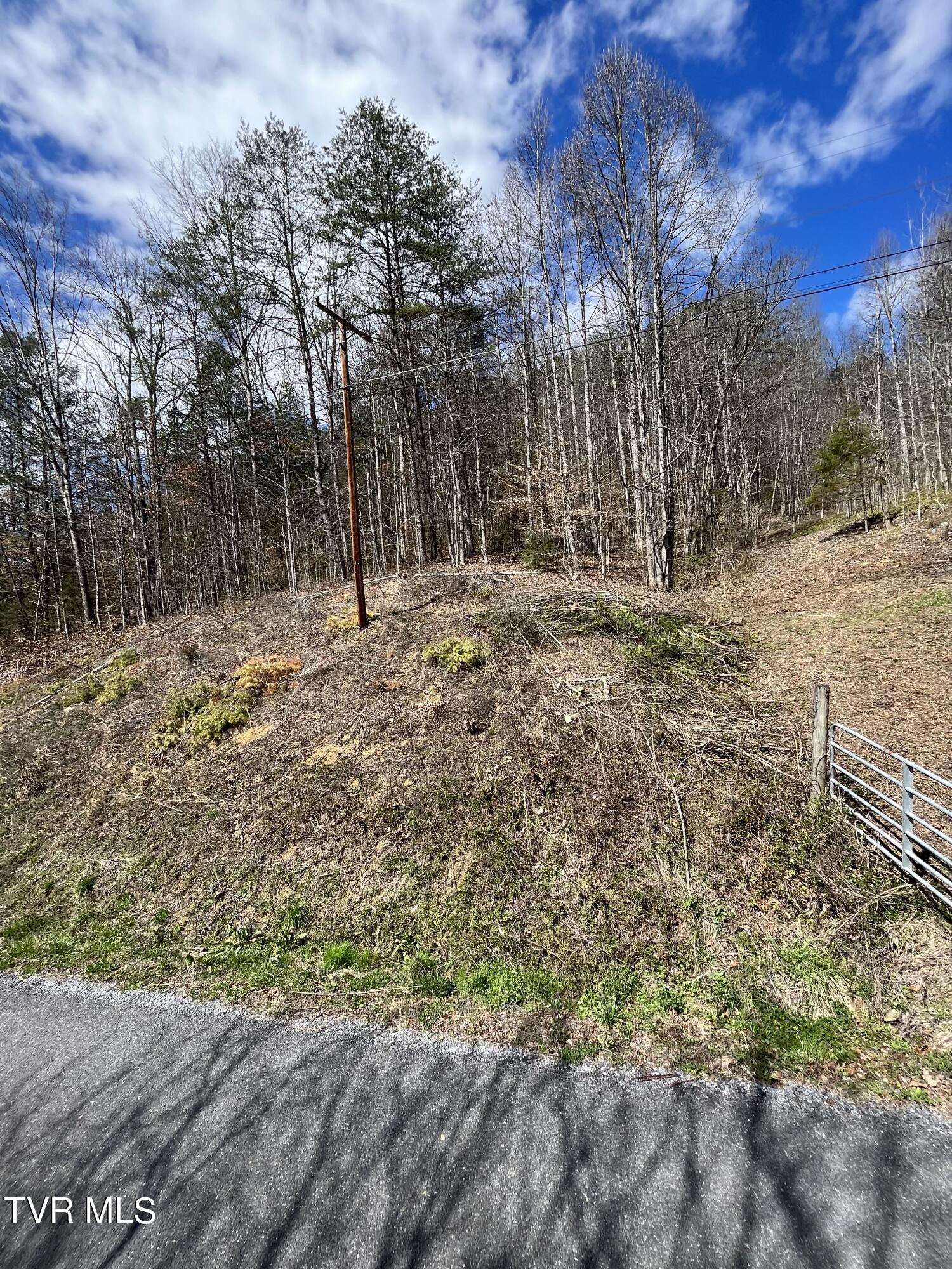 00 Early Branch Road, Rogersville, Tennessee image 2