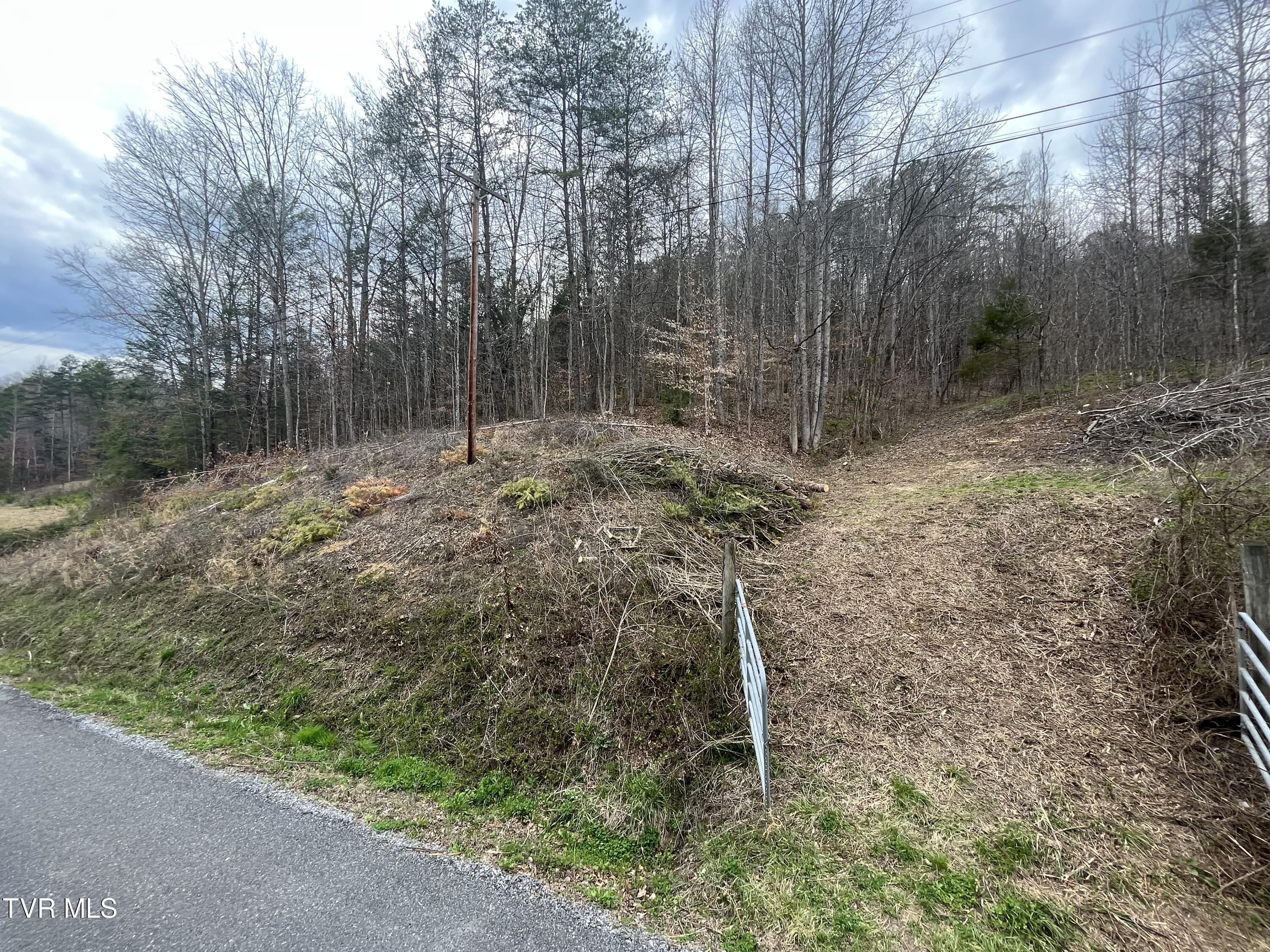 00 Early Branch Road, Rogersville, Tennessee image 6