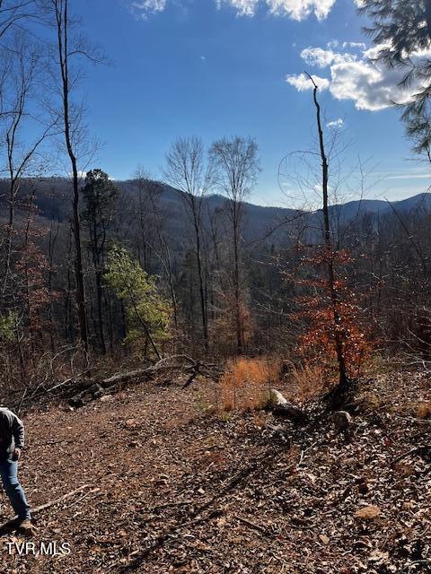 00 Early Branch Road, Rogersville, Tennessee image 13