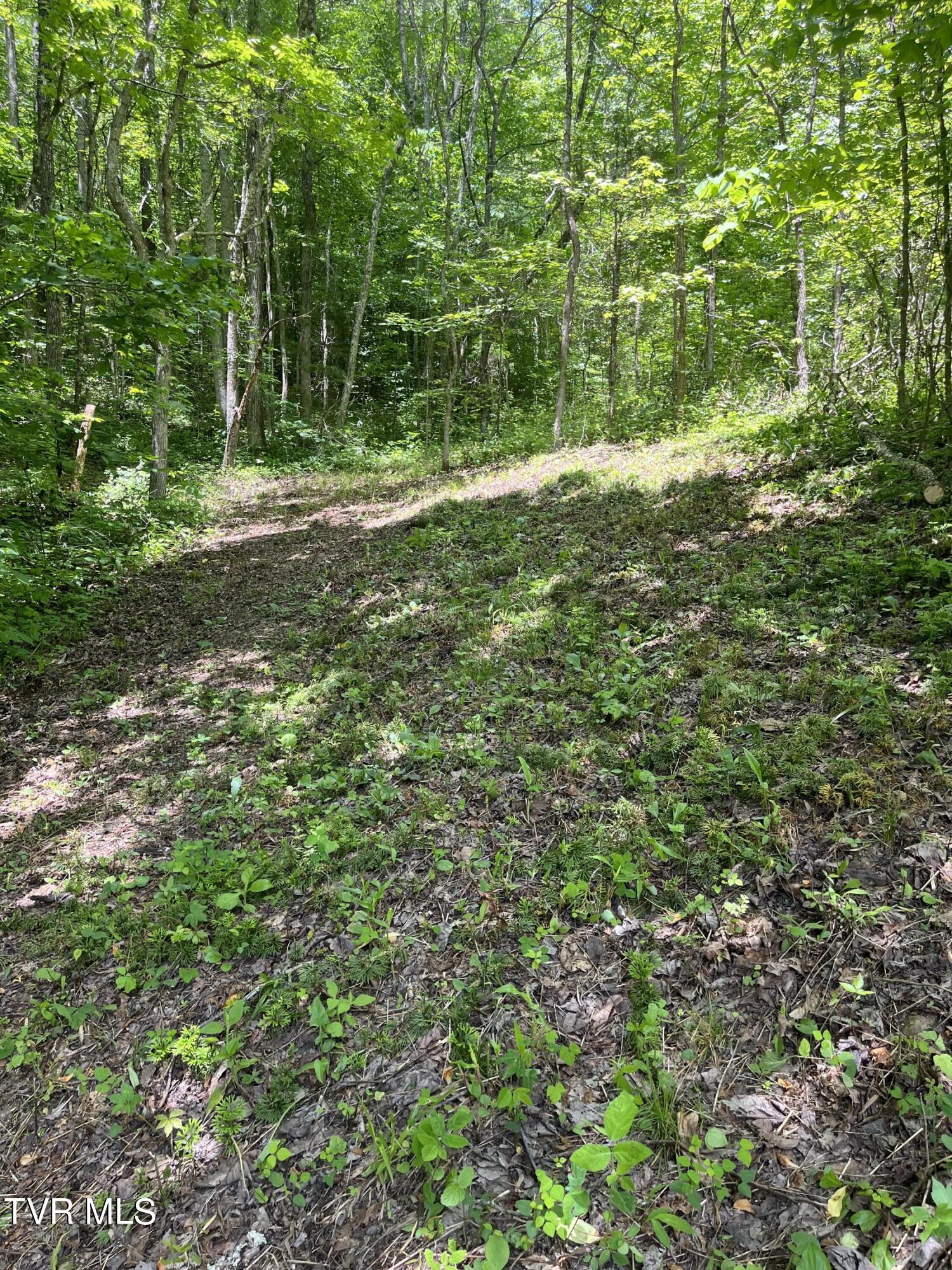 00 Early Branch Road, Rogersville, Tennessee image 9