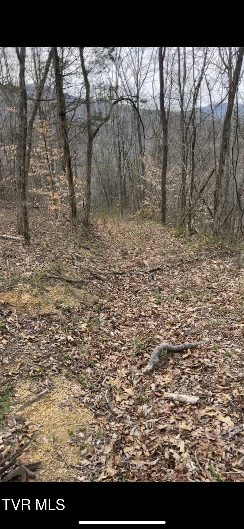 00 Early Branch Road, Rogersville, Tennessee image 1