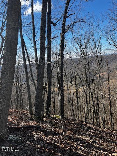 00 Early Branch Road, Rogersville, Tennessee image 11