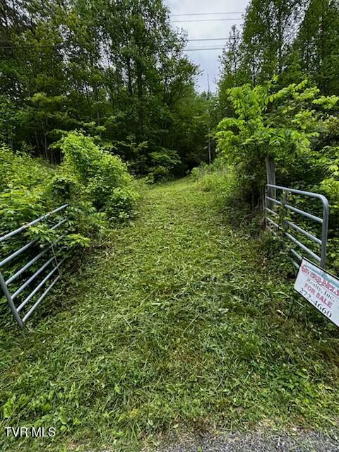 00 Early Branch Road, Rogersville, Tennessee image 1