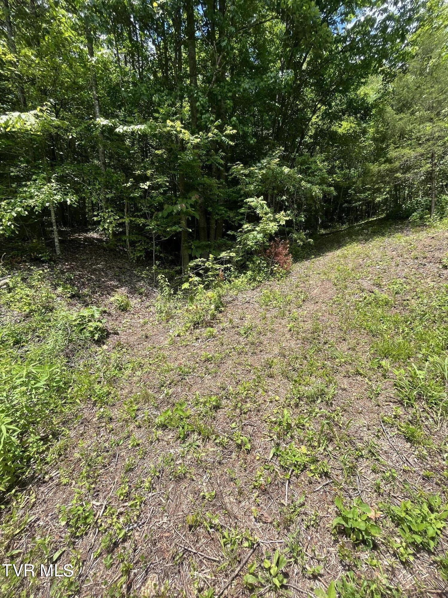 00 Early Branch Road, Rogersville, Tennessee image 7