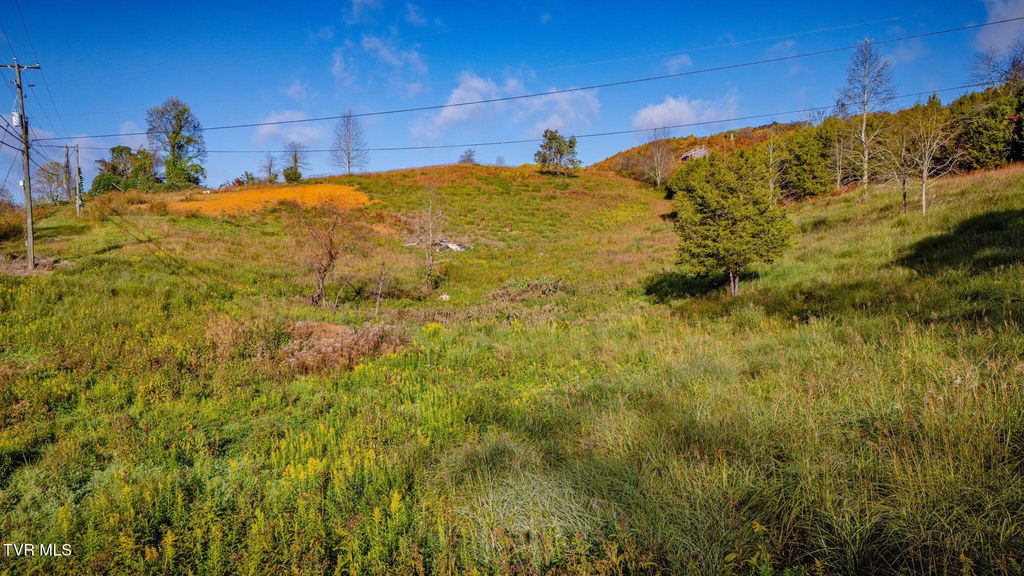 Photo of 4526 Daniel Boone Road, Gate City, VA 24251 (MLS # 9987938)