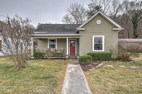 Homes For Sale - 1914 Windsor Avenue<br/> Bristol, TN 37620