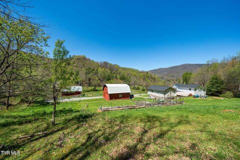 Vacant Land For Sale - TBD Hogum Hollow Road<br/> Johnson County, Roan Mountain, TN 37687