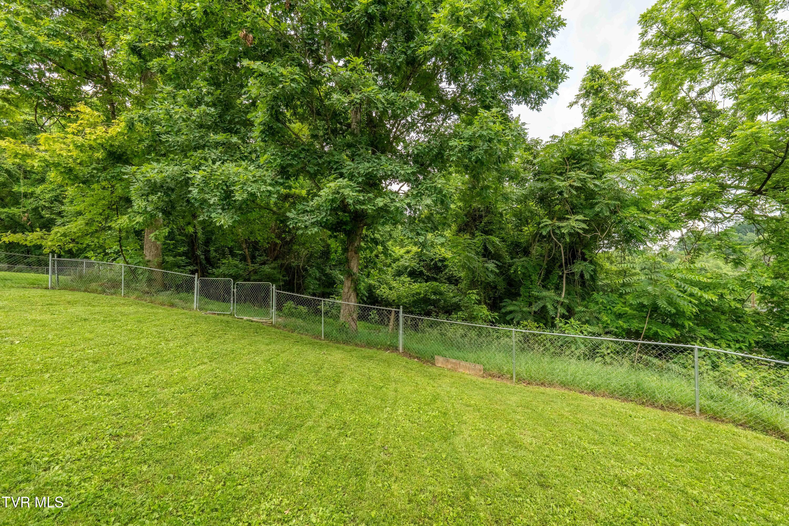 1154 Ridgecrest Avenue, Kingsport, Tennessee image 32