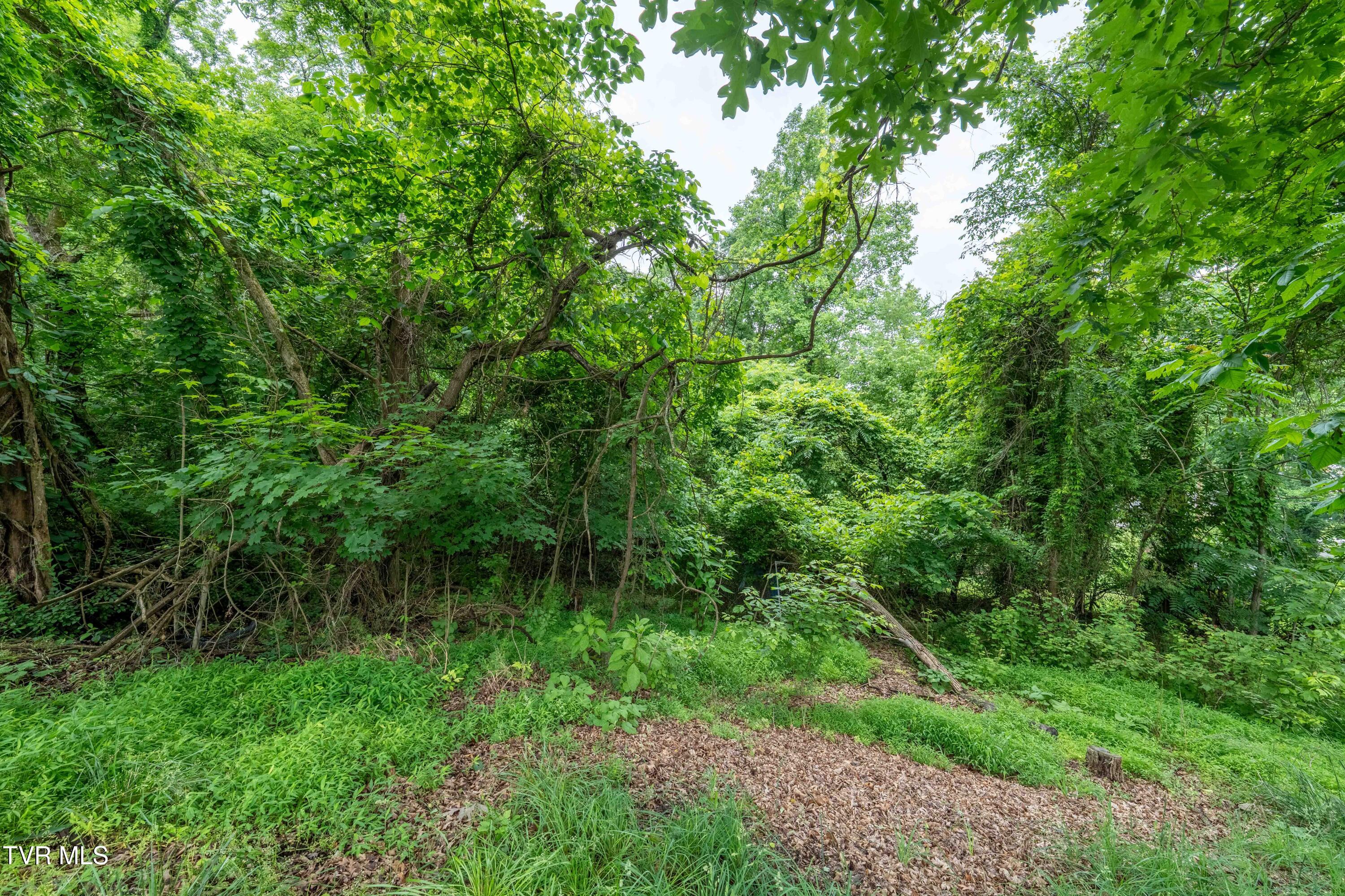 1154 Ridgecrest Avenue, Kingsport, Tennessee image 31